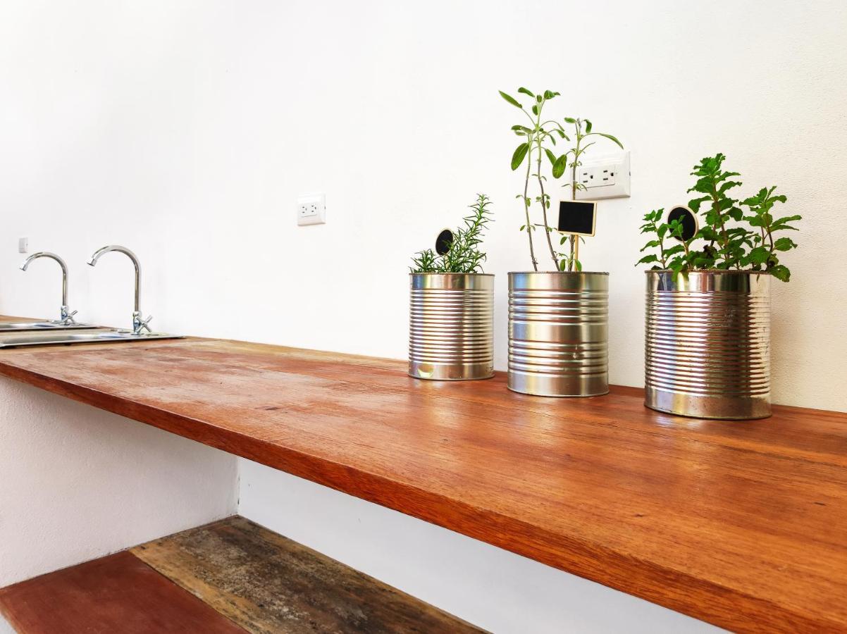 Ico Living Hostel Playa Santa Teresa  エクステリア 写真